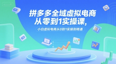 拼多多全域虚拟电商从零到1实操课，小白虚拟电商从0到1实操到精通