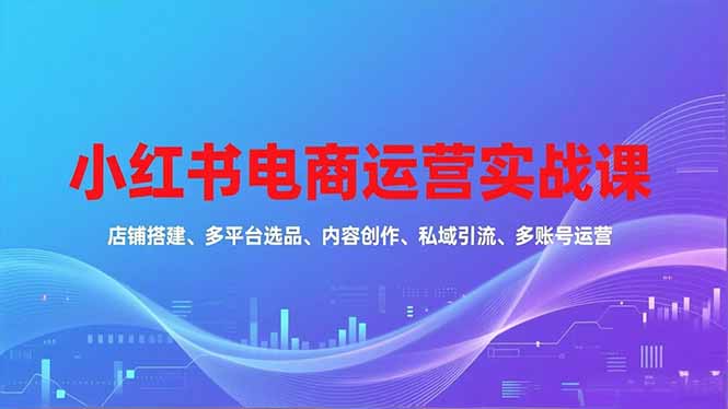 （16695期）小红书电商运营实战课，店铺搭建、多平台选品、内容创作、私域引流、多账号运营等玩法