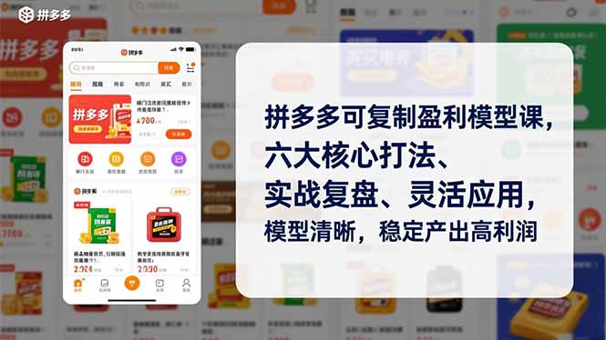 （16952期）拼多多可复制盈利模型课，六大核心打法、实战复盘、灵活应用，模型清晰，稳定产出高利润