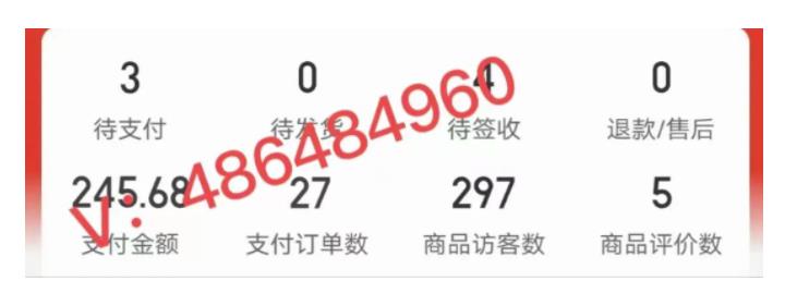 (5023期)拼多多虚拟开店打卡群:入门到精通(昨日群里有小伙伴日入3000+)2月26更新