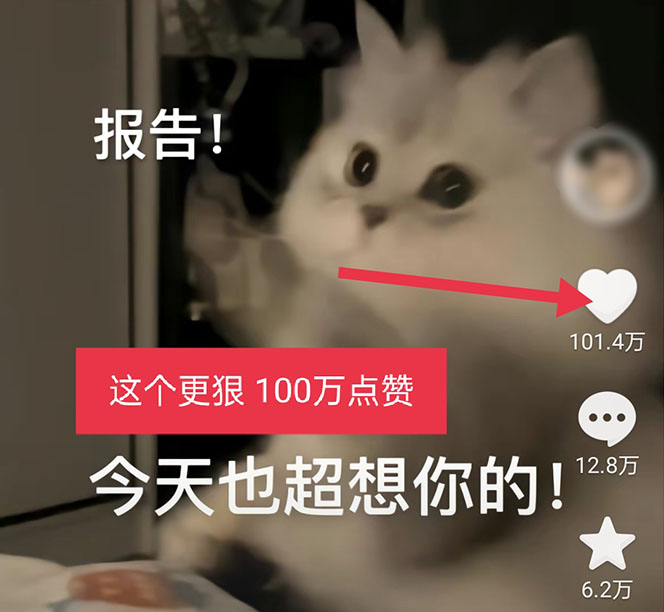 (5498期)黑科技纯原创可爱猫咪图片,全网精准引流,实操5个VX号被加频繁