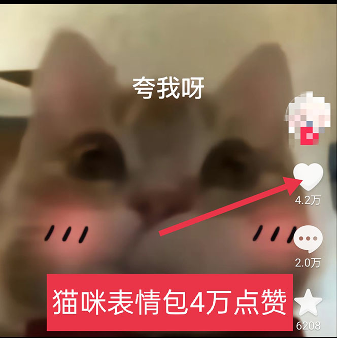 (5498期)黑科技纯原创可爱猫咪图片,全网精准引流,实操5个VX号被加频繁